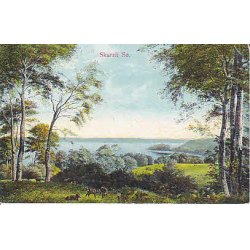 Skarrit S&oslash; - A.V. 51