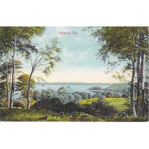 Skarrit S&oslash; - A.V. 51