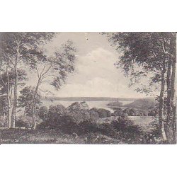 Skarrit S&oslash; - A.V. 3116