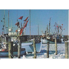 Fiskerb&aring;de i Havns&oslash; Havn - Post Dk.