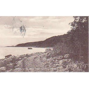 Stokkebjerg Skov med Lommestenen - P.H.