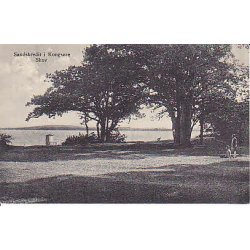 Sandskrdit i Kongs&oslash;re Skov . S.B. Eneret