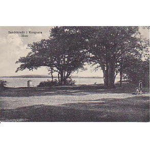 Sandskrdit i Kongs&oslash;re Skov . S.B. Eneret