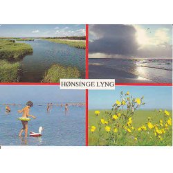 H&oslash;nsinge Lyng - Tr.4