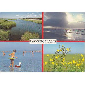 H&oslash;nsinge Lyng - Tr.4