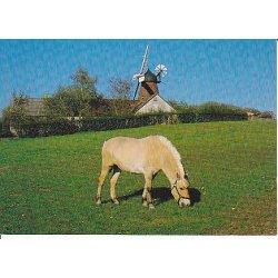 H&oslash;nsinge M&oslash;lle - Tr. 1