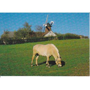 H&oslash;nsinge M&oslash;lle - Tr. 1