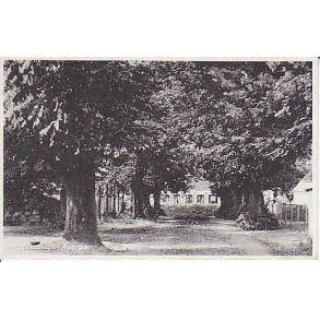 Strandvejen Agersø - L.F. 83091