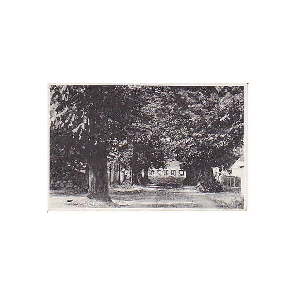 Strandvejen Agers&oslash; - L.F. 83091