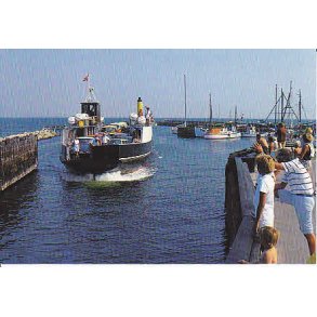 R�rvig Havn- Tr. R�8