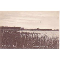 Nyk&oslash;bing Sj. Dybs&oslash; ved- R&oslash;rvig . P.H. 165
