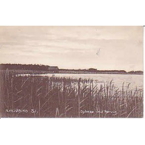 Nyk&oslash;bing Sj. Dybs&oslash; ved- R&oslash;rvig . P.H. 165