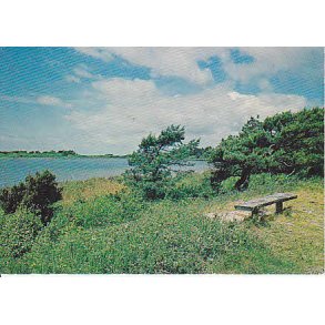 R&oslash;rvig Dybs&oslash; - T.O. 323