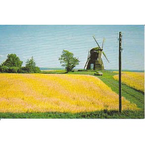 R�rvig M�lle. H.M. 7913