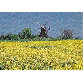 R&oslash;rvig M&oslash;lle. Tr. R&Oslash; 6