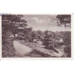 R&oslash;rvig - H&oslash;jsandet. G.R.11