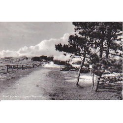 Amtsplantagen R&oslash;rvig - G.R.95139