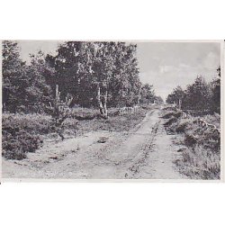 Nyk&oslash;bing Sj. Jagtborg Plantage. G.R. 80928