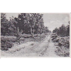 Nyk&oslash;bing Sj. Jagtborg Plantage. G.R. 80928