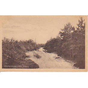 Klitplantagen ved R�rvig - P.H.6