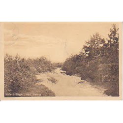 Klitplantagen ved R&oslash;rvig - P.H.6