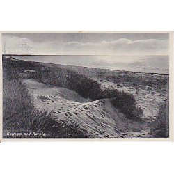 R&oslash;rvig ved Kattegat - P.H.13524