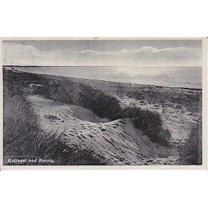 R&oslash;rvig ved Kattegat - P.H.13524