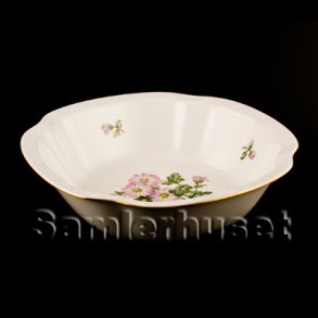 Crysantemum Kartoffelsk&aring;l