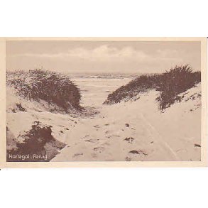 Kattegat R�rvig - G.R.64774