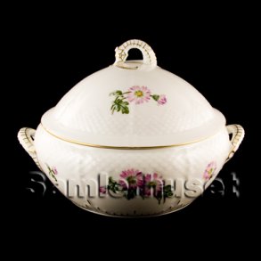 Crysantemum L&aring;gfad