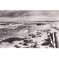 Kattegat R�rvig - G.R.81627