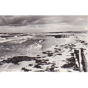 Kattegat R�rvig - G.R.81627