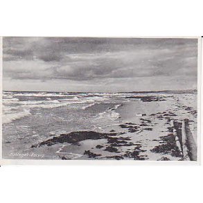 Kattegat R�rvig - G.R.81627