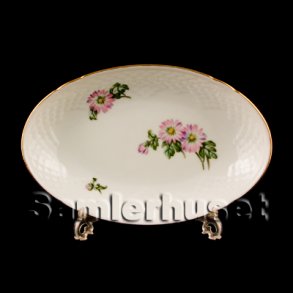 Crysantemum Asiet 23x15 cm.