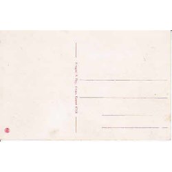 Udsigt over Kaarup Skov mod Ordrup N&aelig;s. S.B.