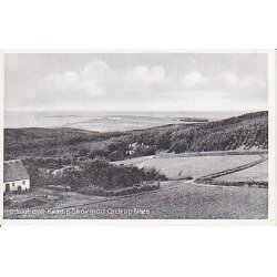 Udsigt over Kaarup Skov mod Ordrup N&aelig;s. S.B.