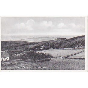 Udsigt over Kaarup Skov mod Ordrup N&aelig;s. S.B.