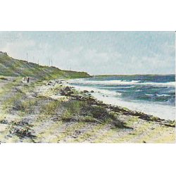 Stranden ved Veddinge Bakker - S.B.736