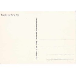 Stranden ved Ordrup N&aelig;s. T.O. 604