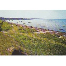 Stranden ved Ordrup N&aelig;s. T.O. 604