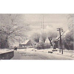 Ringsted Amtstuegaarden. A.F.287