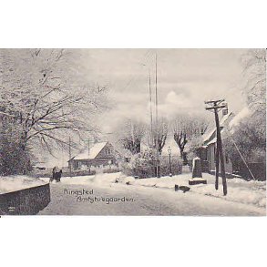 Ringsted Amtstuegaarden. A.F.287