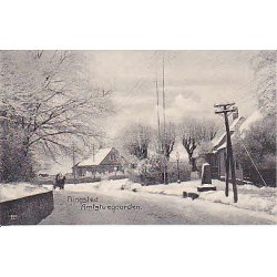 Ringsted Amtstuegaarden. A.F.287