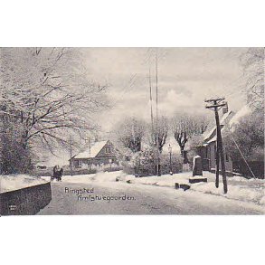 Ringsted Amtstuegaarden. A.F.287