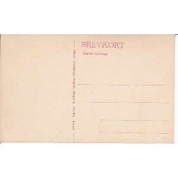 Ringsted - Sct.Hansgade . A.F.391