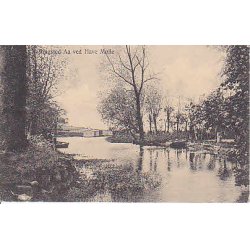 Ringsted Aa ved Have M&oslash;lle - A.F. 113