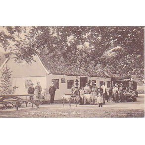 Trakt&oslash;rstedet i Vrangeskov - A.F. 607