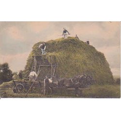 Ringsted Omegn i H&oslash;st - A.F. 146