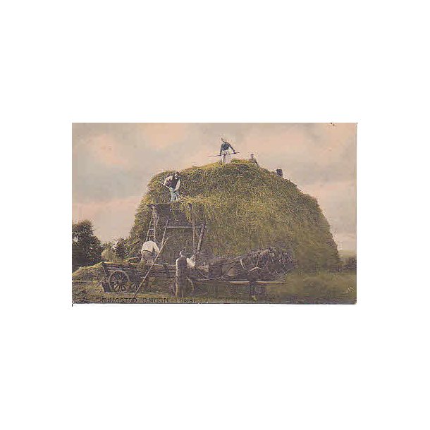 Ringsted Omegn i H&oslash;st - A.F. 146
