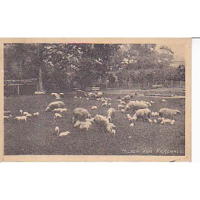 Hilsen fra K&aelig;rehave u/n